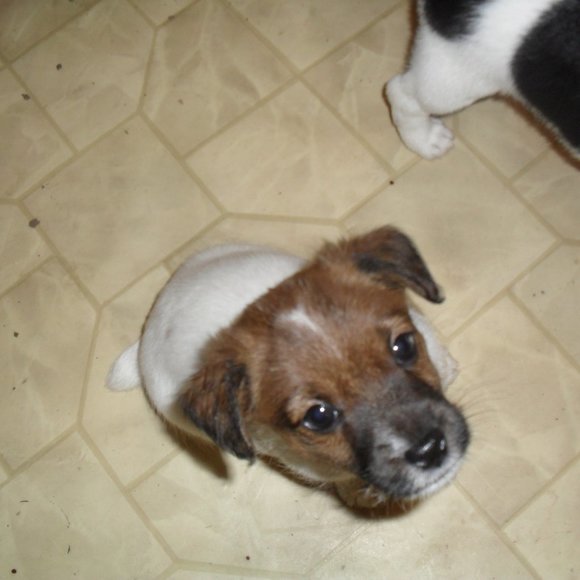 Thanks for shopping my closet!!! - Picture 10 of 16